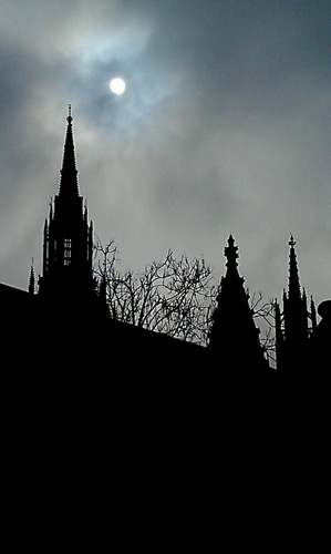 IMAG0155