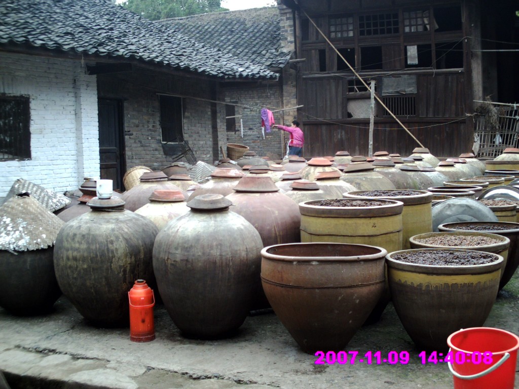 Adam Octavian Dannreuther, China 2007
