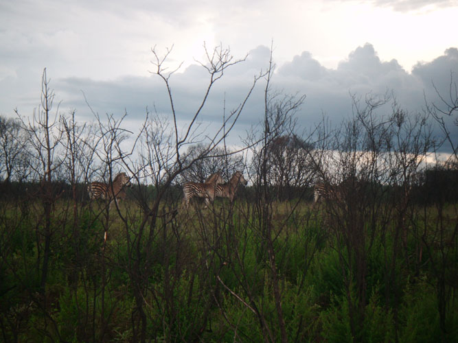 DSCF0206