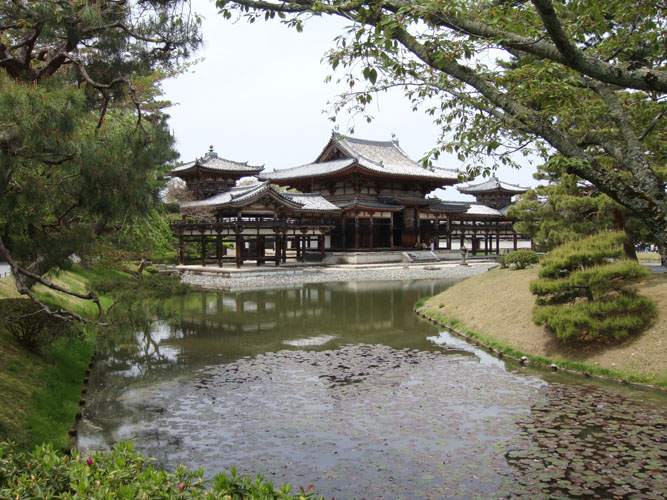 Cassim Japan 7