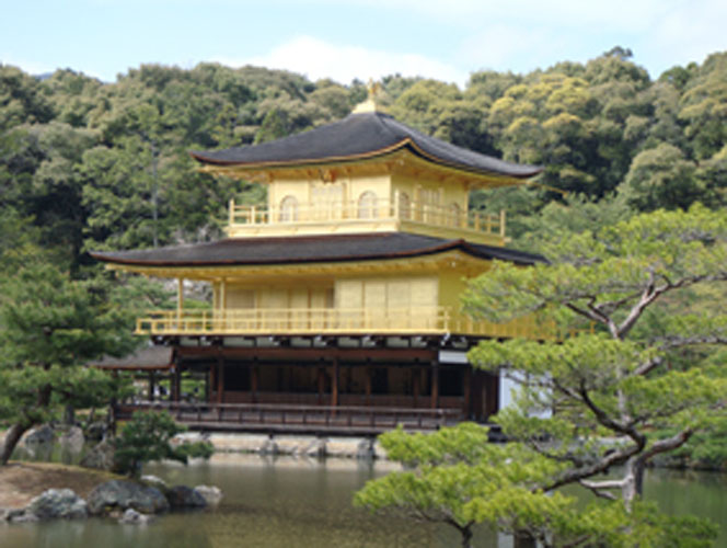 Cassim Japan 8 (1)