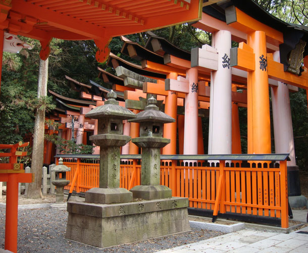 Cassim japan 3