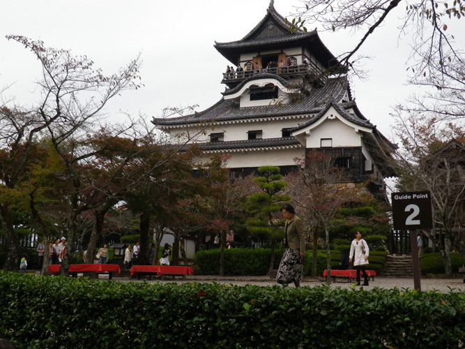 IMGP0028