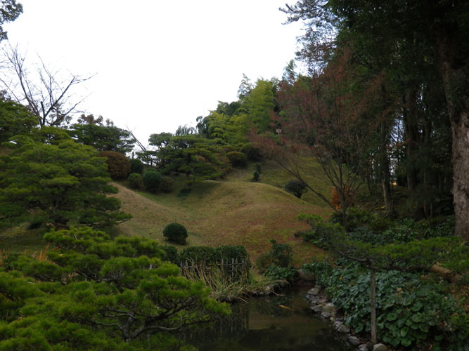 IMGP0127