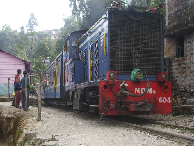 IMGP3044