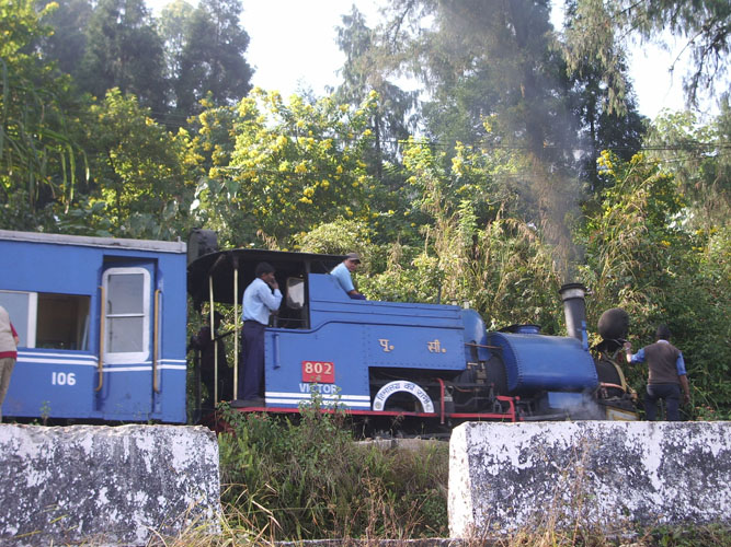 IMGP3203