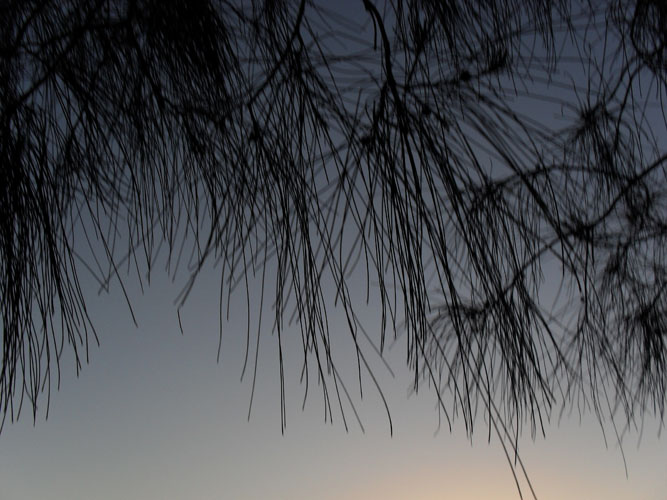 <SAMSUNG DIGITAL CAMERA>