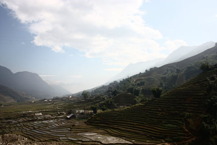 land