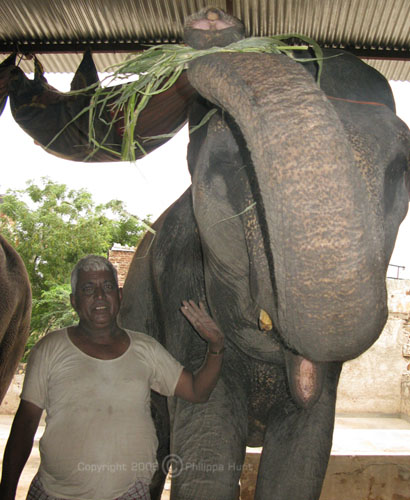 phillipa Hunt_India_2008_31
