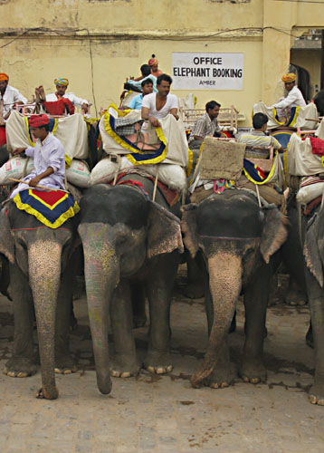 phillipa Hunt_India_2008_43