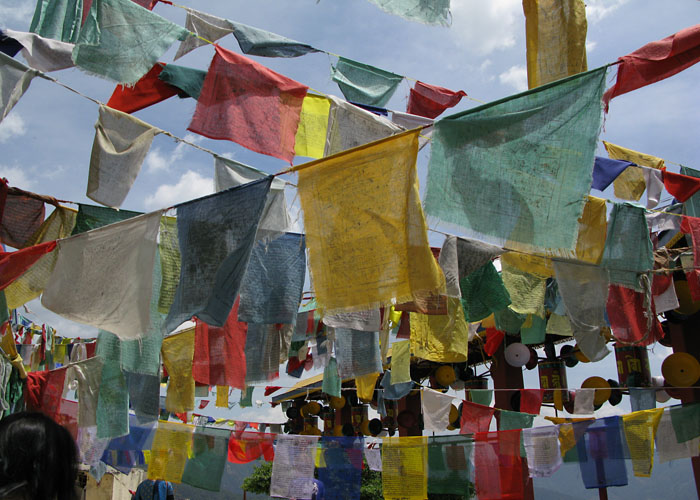 phillipa Hunt_India_2008_69