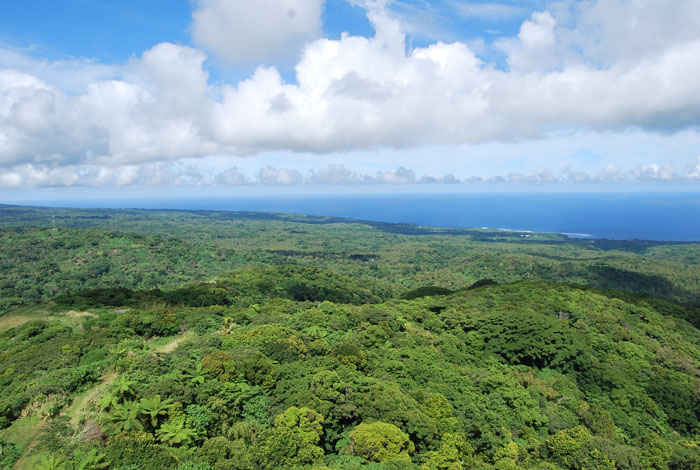 ClareDeal_Vanuatu_2009_49