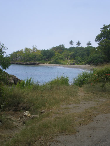 IMGP6008