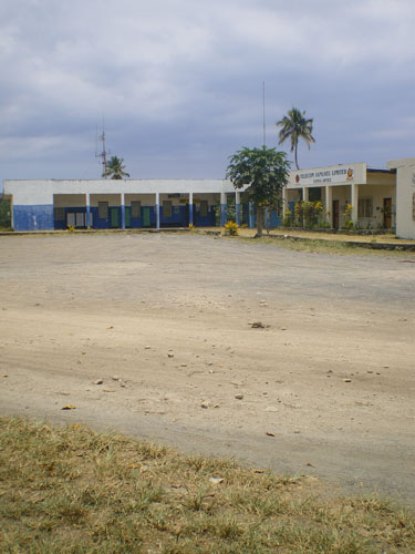 IMGP6011