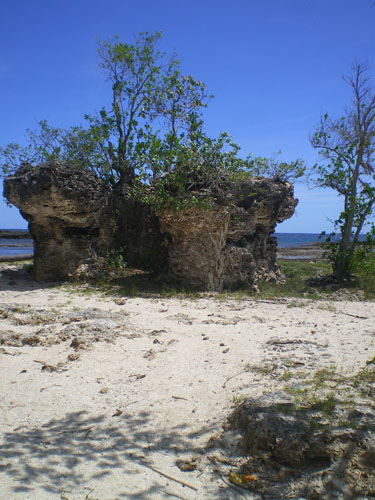 IMGP6045