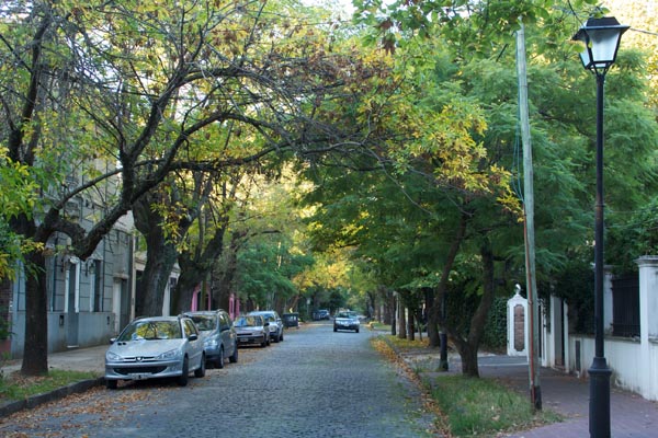 argentina-038-olivos