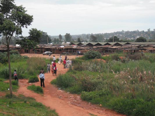 Mzuzu Landscape