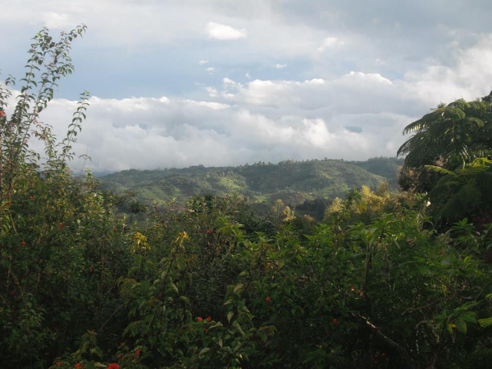 Scenary