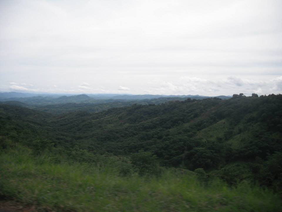 The Valley