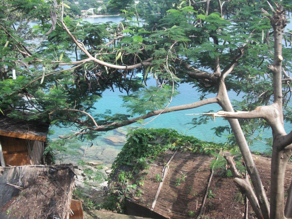 Trees over Lake Malawi