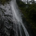 P1050084