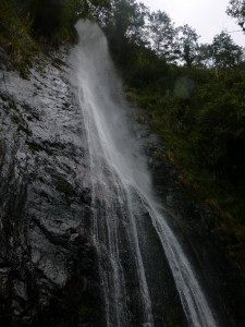 P1050084