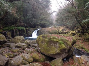 Kikuchi Gorge