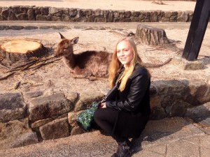 Miyajima deer