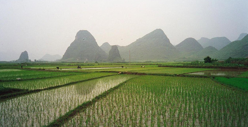 gap year vietnam