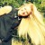Profile picture of Mia Noreen Ahlers